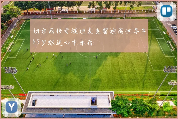 切尔西传奇埃迪麦克雷迪离世享年85岁球迷心中永存